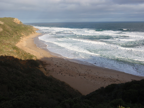 Castal Cove