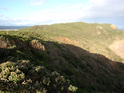 Castal Cove