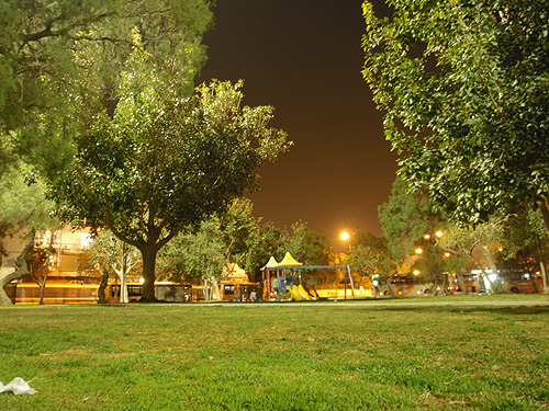 夜の公園