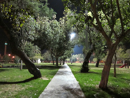 夜の公園