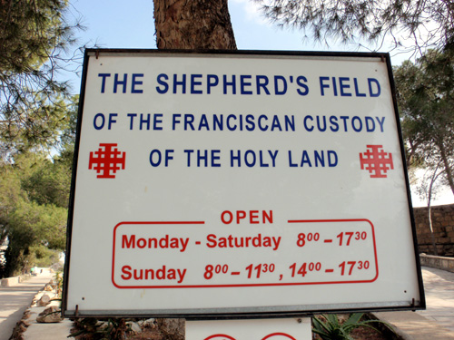 Shepherd's Field
