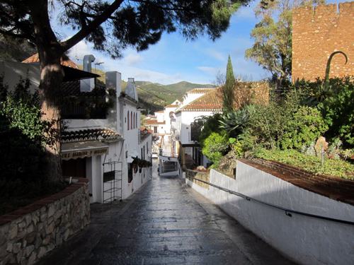 雨上がりのミハス