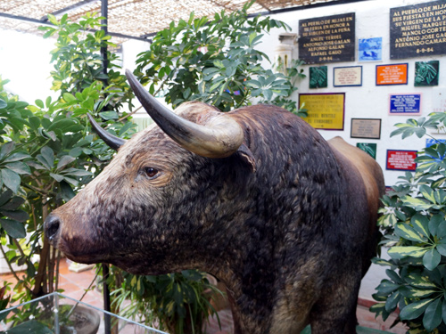 雨上がりのミハス