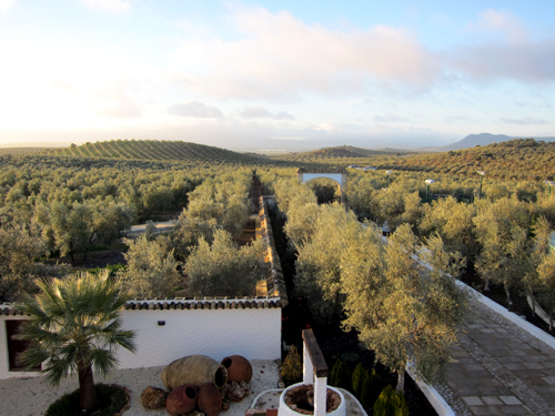 Hacienda la Capilla