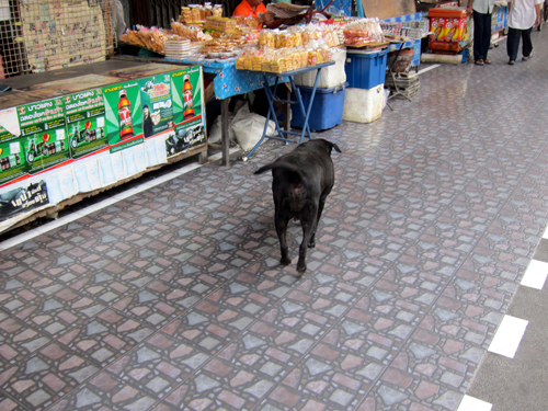 国鉄Wongwian Yai駅