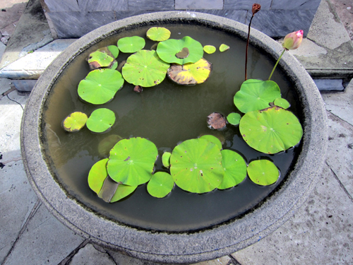 Wat Pho